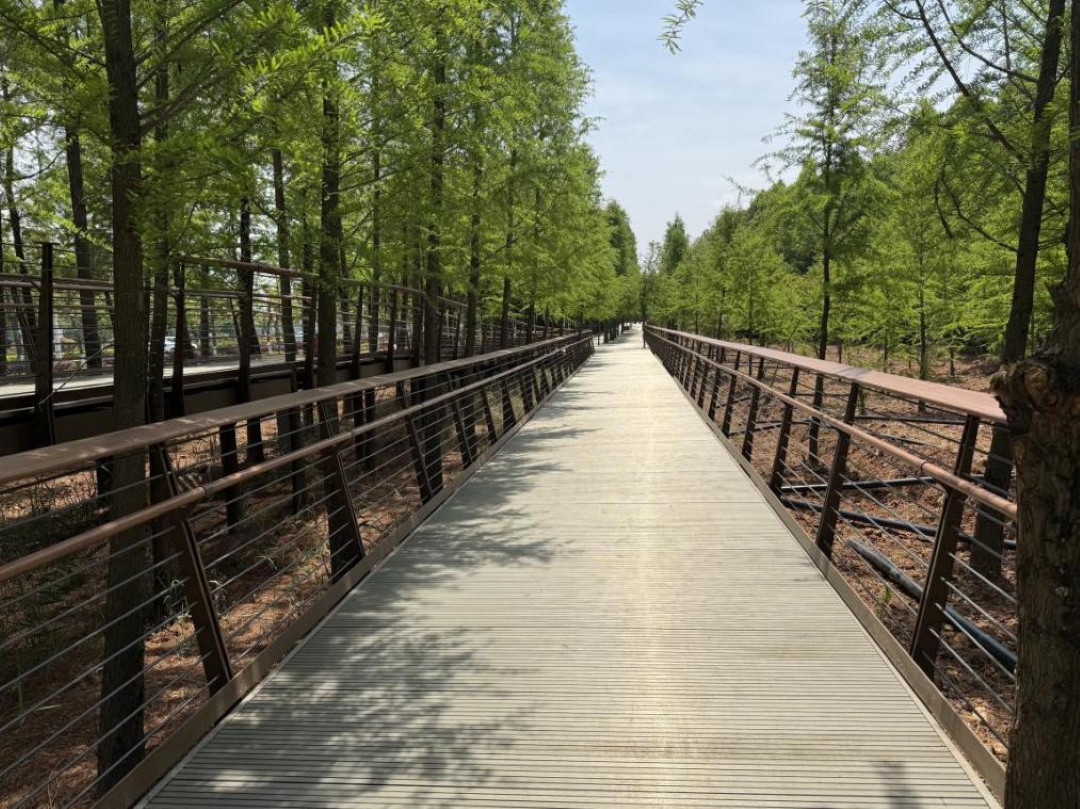 1765157613537683.png 圖片1.png